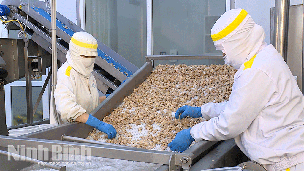 Quy trình sản xuất hiện đại tại Công ty TNHH Thuỷ sản Lenger Việt Nam (phường Thành Nam).