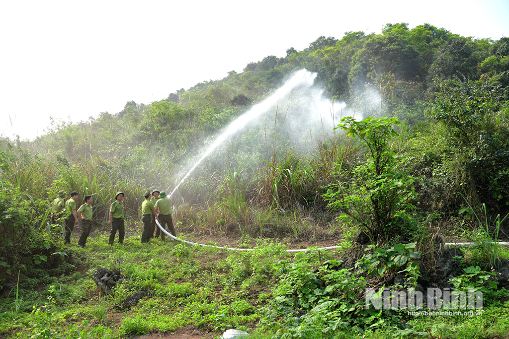 Cán bộ Kiểm lâm thực hành chữa cháy tại thực địa.