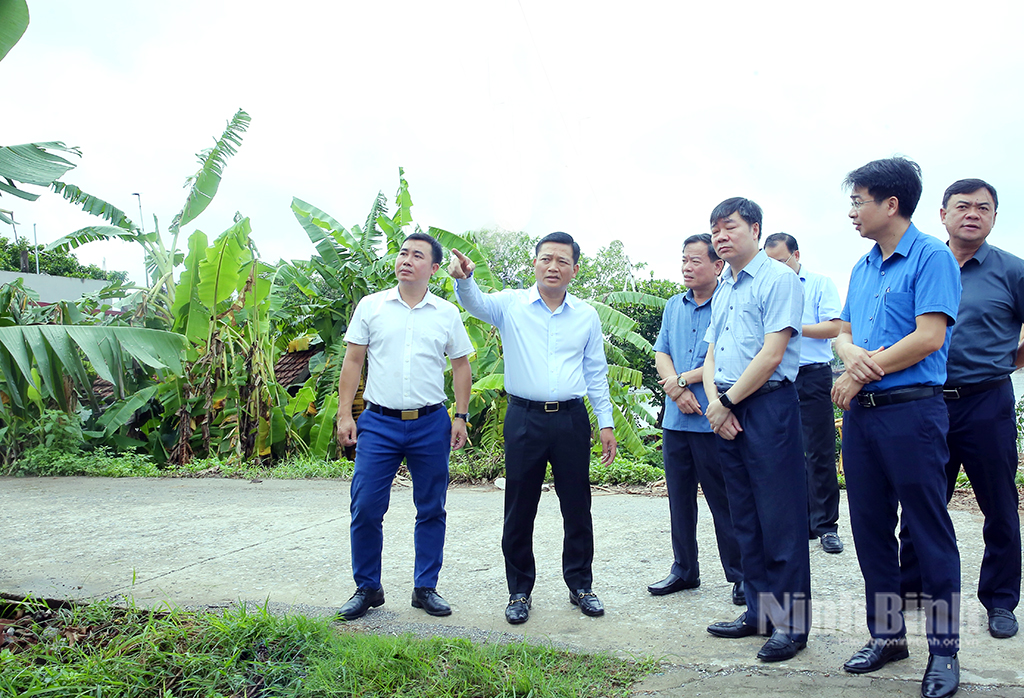 Đồng chí Nguyễn Cao Sơn, Tỉnh ủy viên, Phó Chủ tịch UBND tỉnh và Đoàn công tác kiểm tra thực địa khu giải phóng mặt bằng tại xã Nghĩa Hưng.