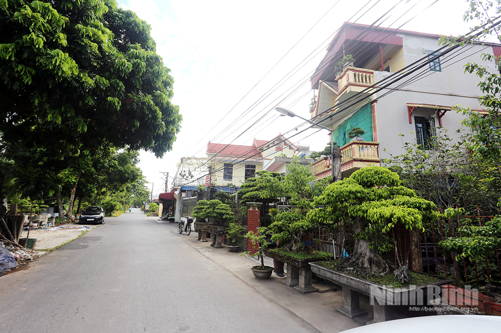 Nông thôn mới phường Hồng Quang.