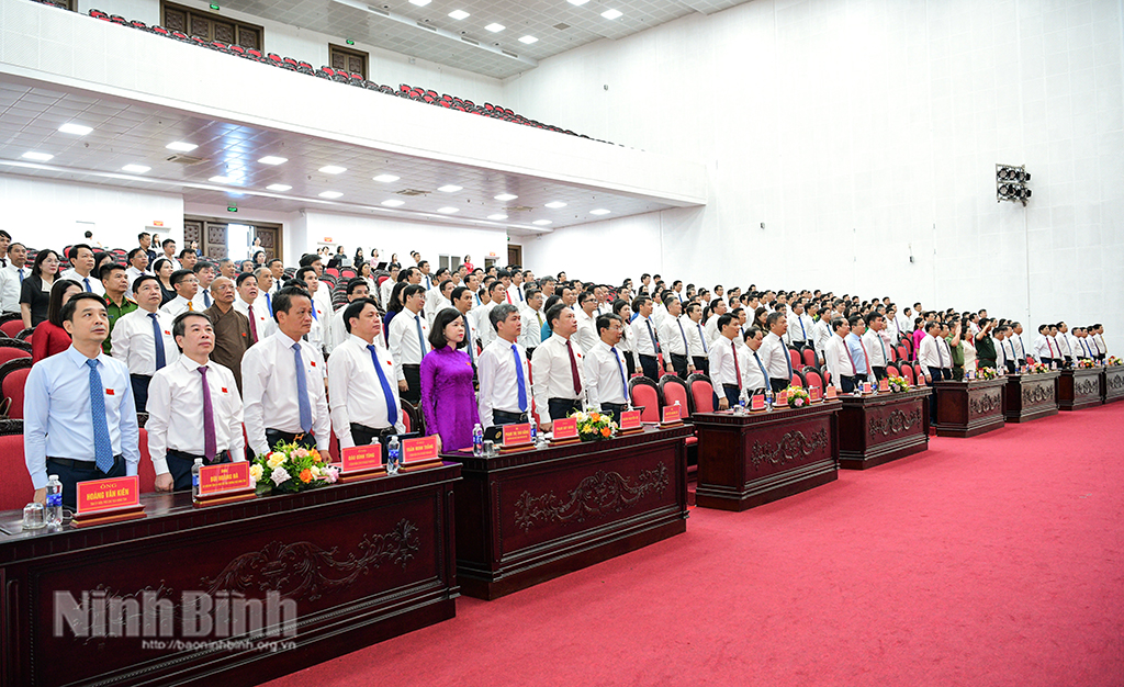 Các đại biểu dự Kỳ họp thực hiện nghi thức chào cờ.
