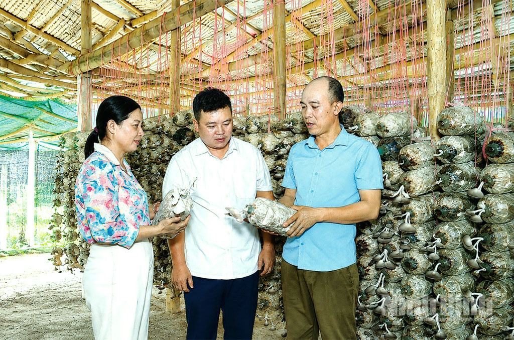 Chuyển đổi số giúp người dân phát triển kinh tế, giảm nghèo bền vững