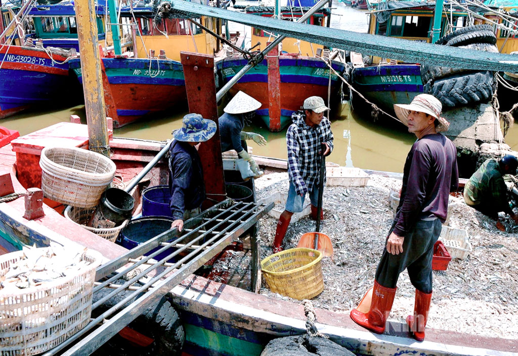 Ngư dân xã Rạng Đông khai thác hải sản.