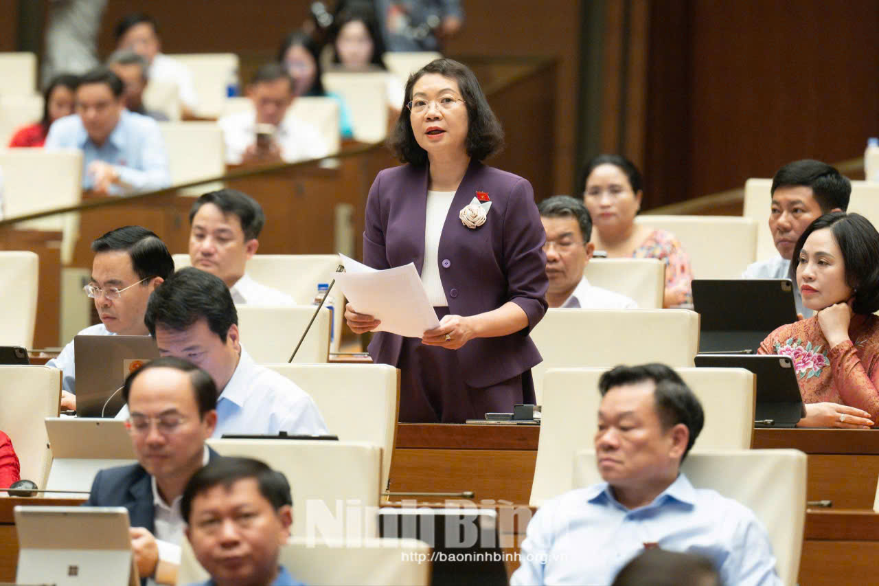 Đại biểu Mai Phương Hoa, Phó Chủ nhiệm Ủy ban Pháp luật và Tư pháp của Quốc hội (Đoàn ĐBQH tỉnh Ninh Bình) phát biểu tại hội trường, chiều 11/4.
