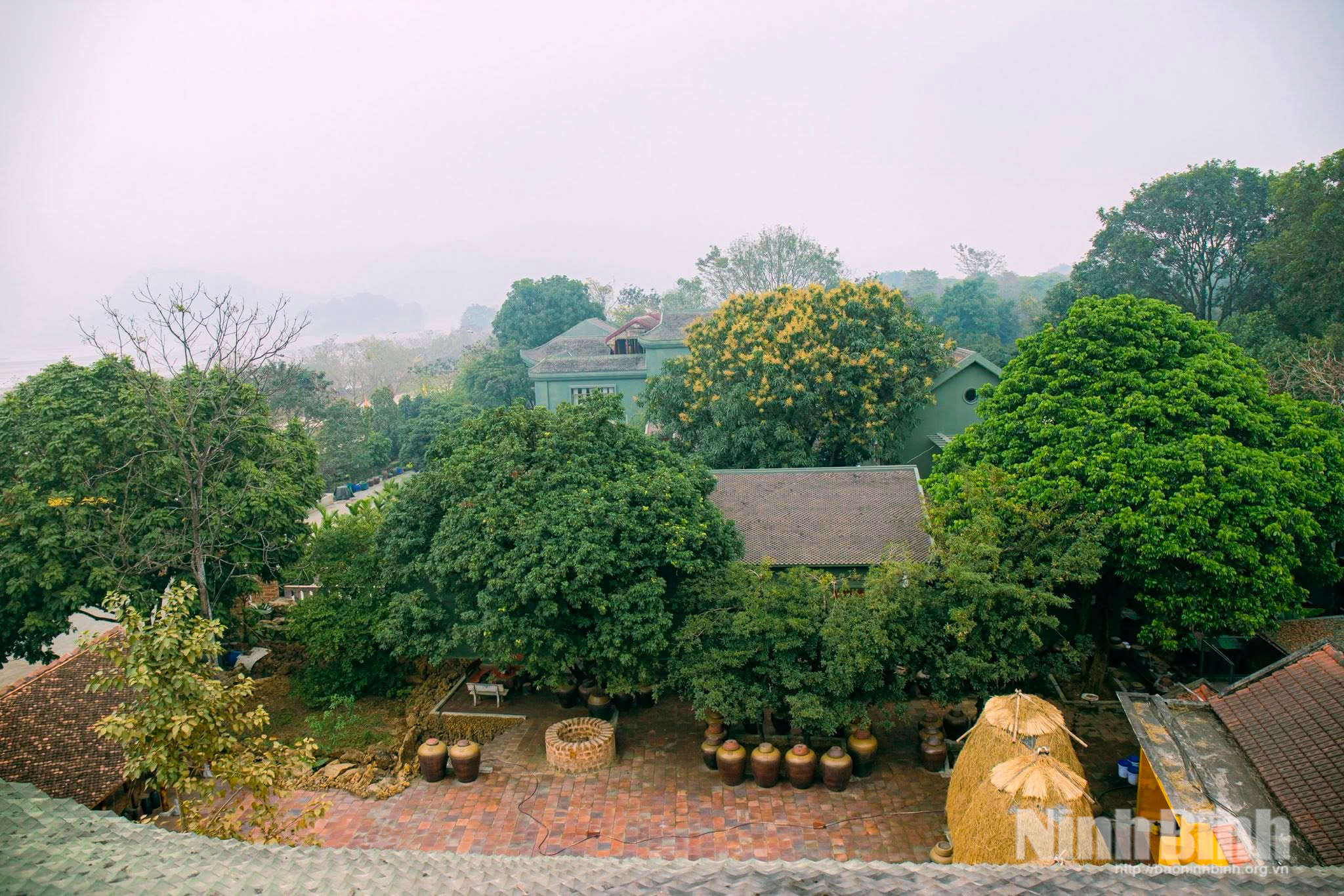 Không gian xanh của Hợp tác xã Sinh Dược nằm dưới chân núi Bái Đính (phường Tây Hoa Lư).