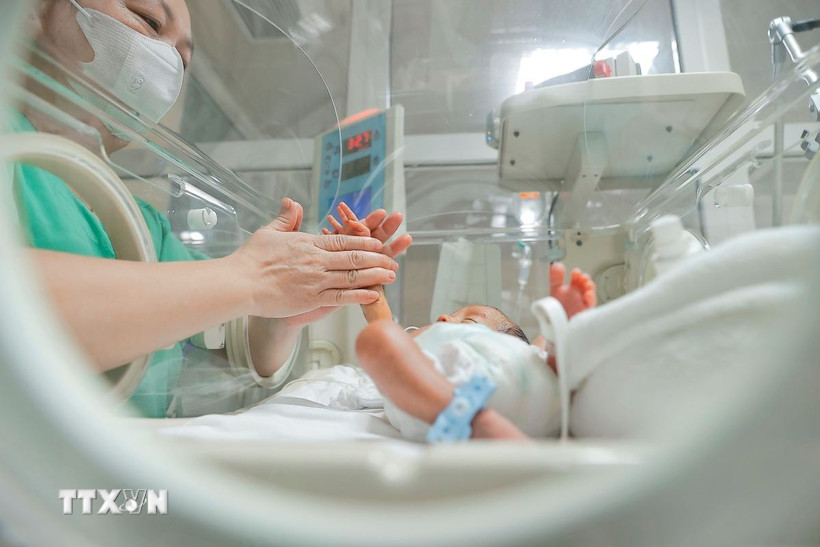 Ảnh minh hoạ. (Ảnh: Minh Quyết/TTXVN)