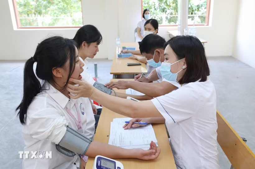 Ảnh minh họa. (Ảnh: Anh Tuấn/TTXVN)