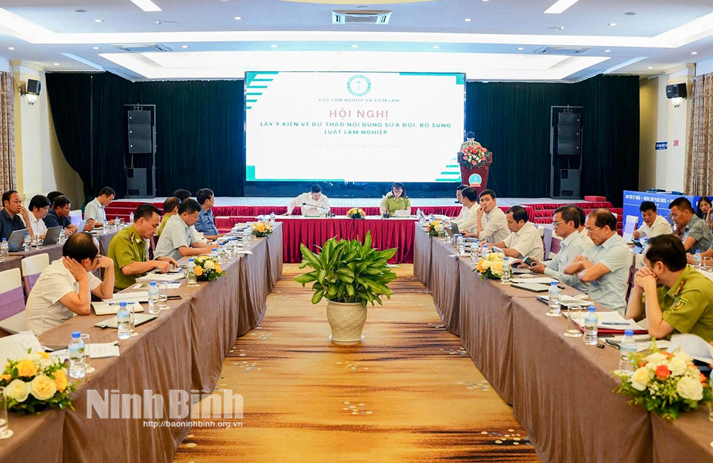 Quang cảnh hội nghị.