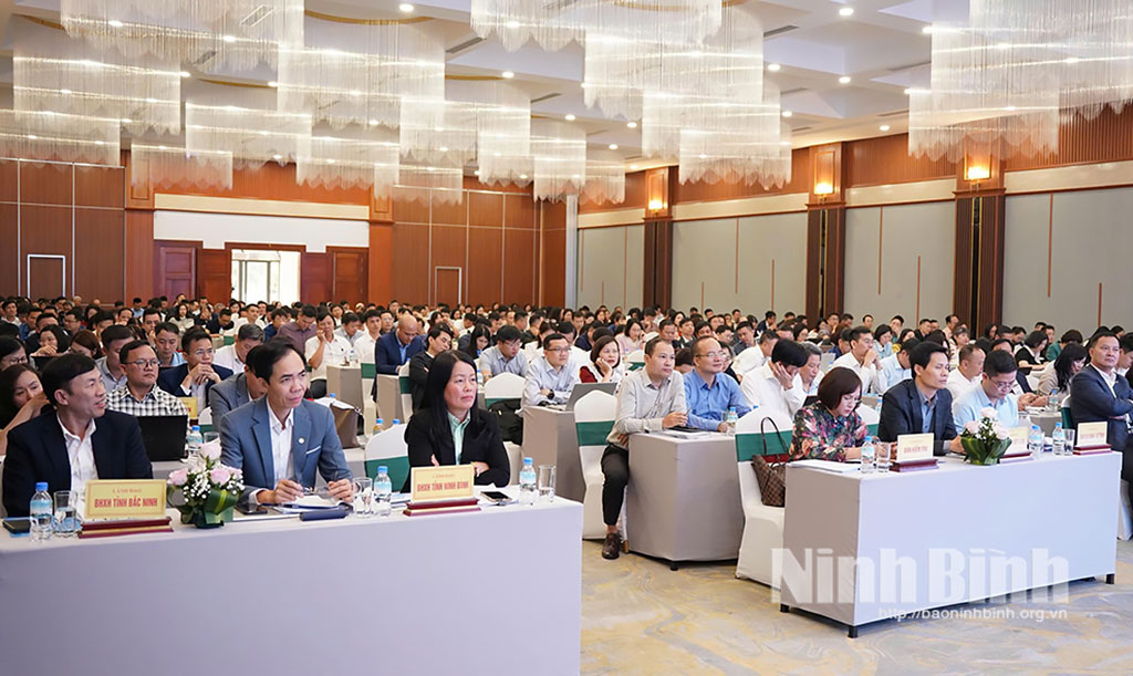 Quang cảnh hội nghị tập huấn.