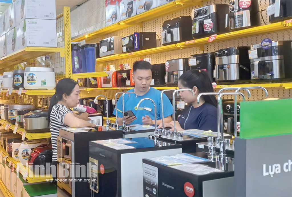 Bắt đầu vào mùa nắng nóng, thị trường điện lạnh trở nên sôi động với đa dạng các mặt hàng.