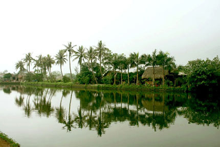 Ảnh minh họa.