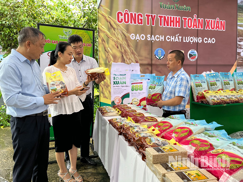 Gạo sinh thái ruộng rươi, sản vật đặc trưng của vùng biển Ninh Bình ngày càng được nâng tầm giá trị thông qua Chương trình OCOP.