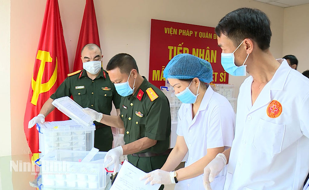 Ninh Bình tiếp tục đẩy mạnh tìm kiếm, quy tập và xác định danh tính hài cốt liệt sĩ