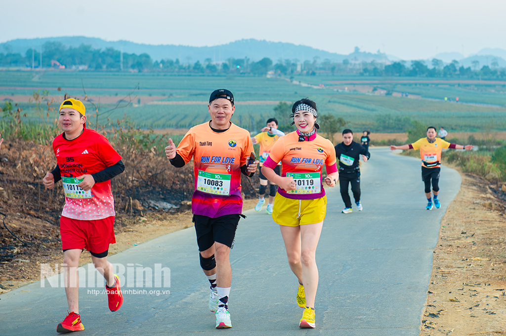 Runners joining in Tam Diep half Marathon.