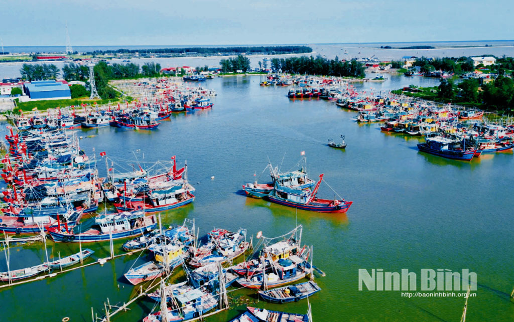 Vessels gather in centralized anchorage area in Rang Dong commune.