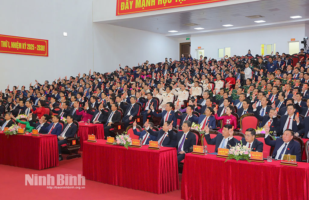 Các đại biểu biểu quyết thông qua Nghị quyết Đại hội.