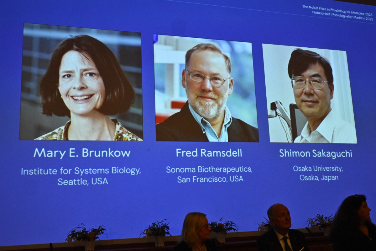 Ảnh chân dung của Mary E. Brunkow, Fred Ramsdell và Shimon Sakaguchi được công bố tại Viện Karolinska ở Stockholm, Thụy Điển, ngày 6/10/2025 (Ảnh: AFP)