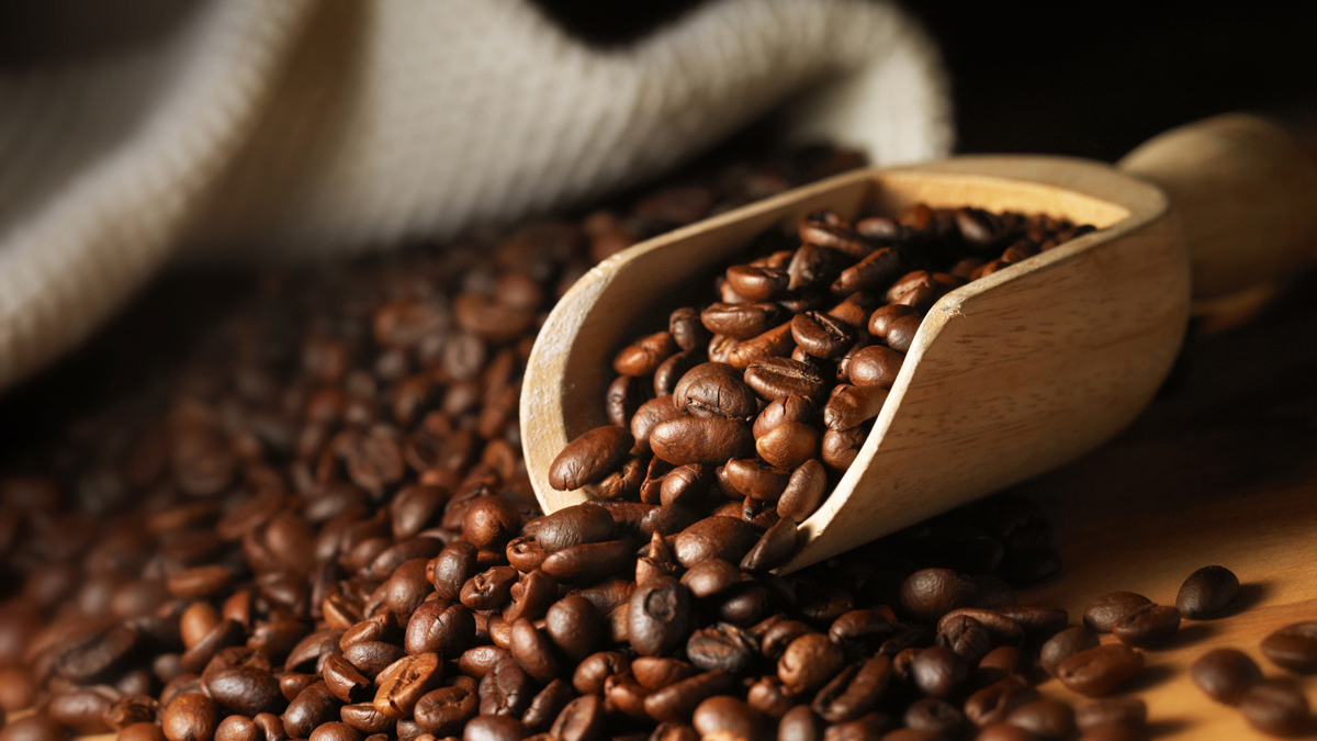 Giá cà phê hôm nay 22/8: Giảm mạnh, robusta chạm đáy 1 tuần