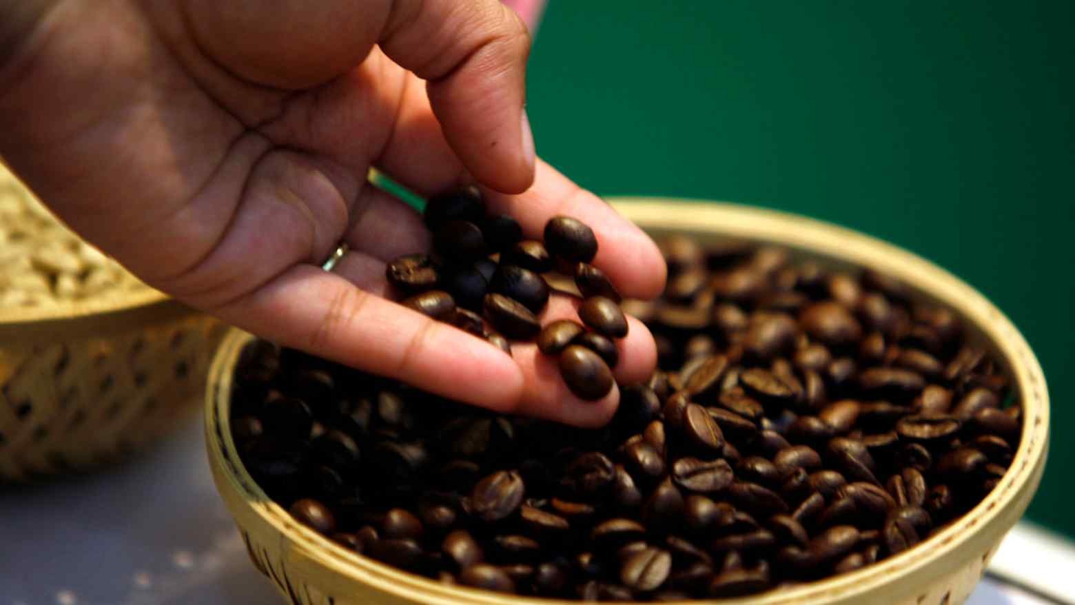 Giá cà phê hôm nay 1/9: Arabica giảm nhẹ khi nguồn cung Brazil cải thiện