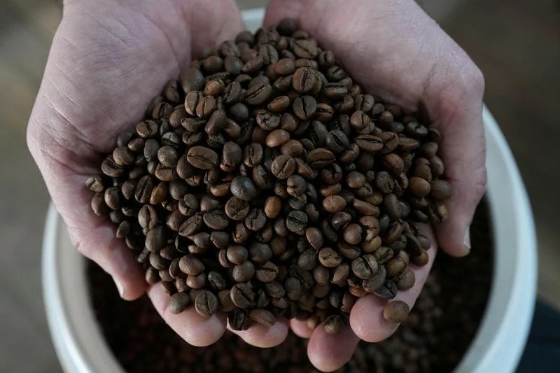Giá cà phê hôm nay 18/9: Giảm khi triển vọng nguồn cung tích cực, robusta xuống dưới 3.400 USD