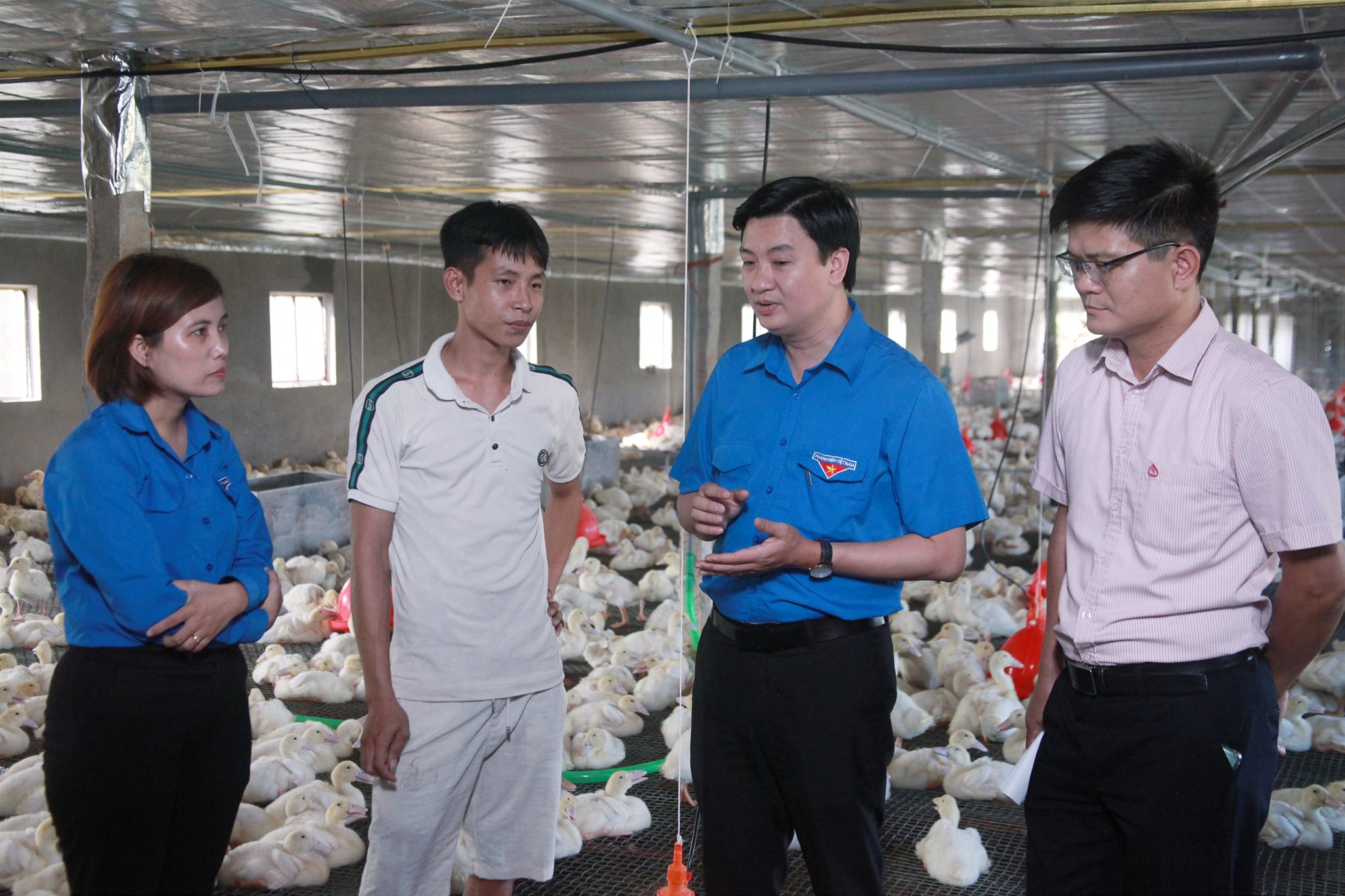 Lãnh đạo Tỉnh đoàn Ninh Bình thăm và thẩm định mô hình của thanh niên có nhu cầu vay vốn khởi nghiệp, lập nghiệp do Tỉnh đoàn quản lý.