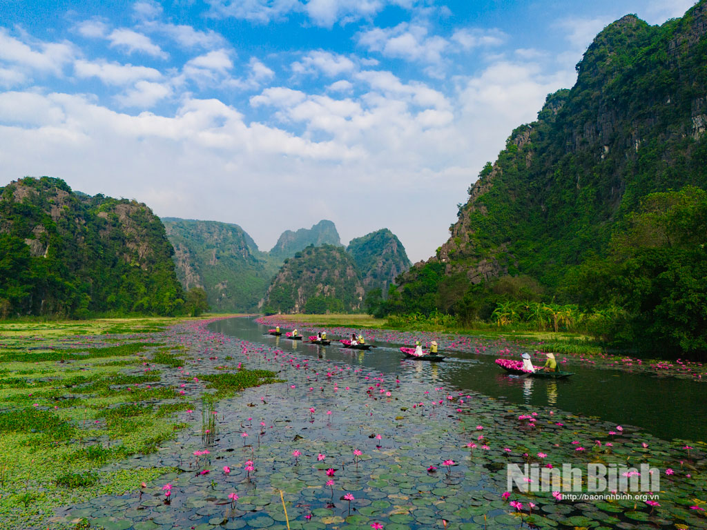 Khu du lịch Tam Cốc tập trung chăm sóc cảnh quan thu hút du khách.