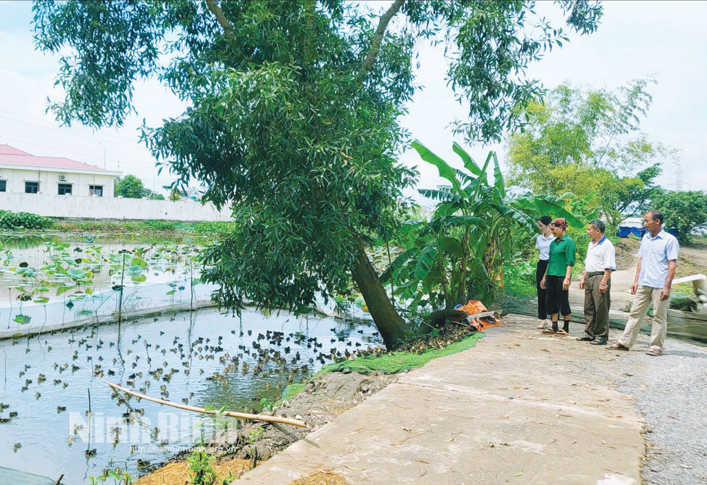 Trang trại tổng hợp của gia đình ông Trần Văn Công, phố Mỹ Sơn, xã Gia Viễn từ hộ gia đình khó khăn đã vươn lên có thu nhập khá.
