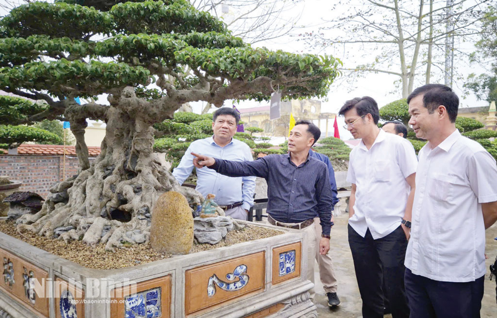 Cán bộ Liên minh HTX tỉnh thăm, động viên tình hình sản xuất, kinh doanh tại HTX làng nghề hoa cây cảnh Vị Khê, phường Vị Khê.