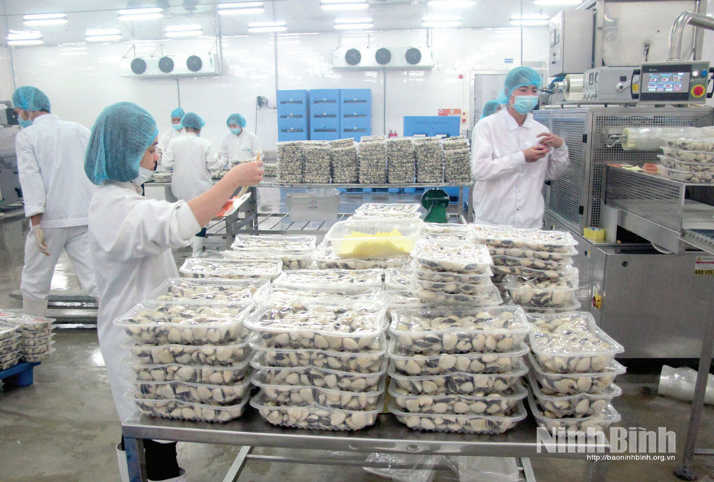 Ứng dụng công nghệ cao trong chế biến ngao tại Công ty TNHH Thủy sản Lenger Việt Nam (Cụm công nghiệp An Xá).