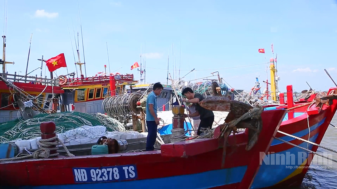 Ngư dân neo đậu tàu thuyền khai thác thủy sản tránh trú bão tại Cảng cá Ninh Cơ. Ảnh tư liệu: NBO