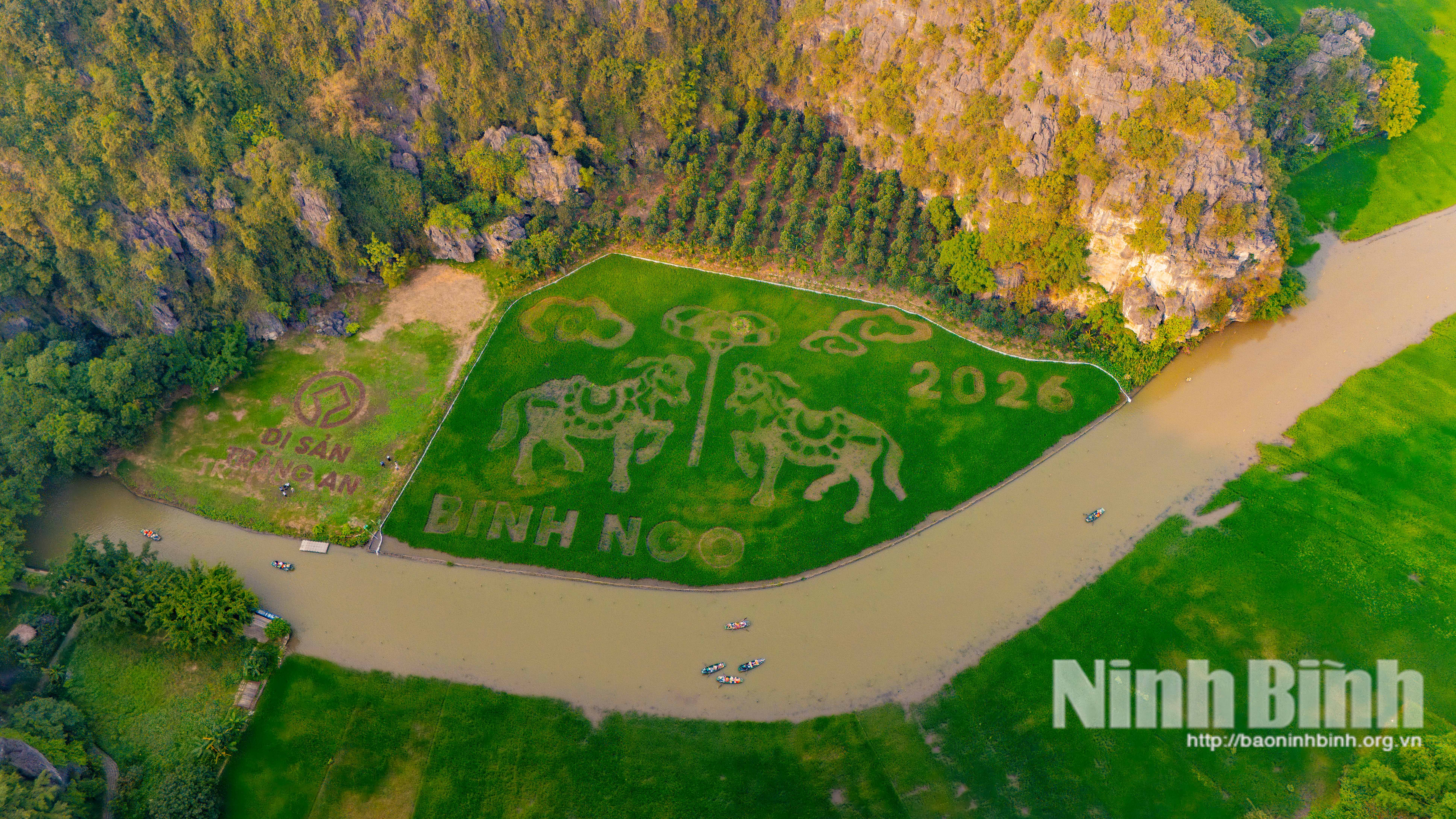 Cánh đồng lúa nghệ thuật khắc họa biểu tượng du lịch Ninh Bình tại Tam Cốc.