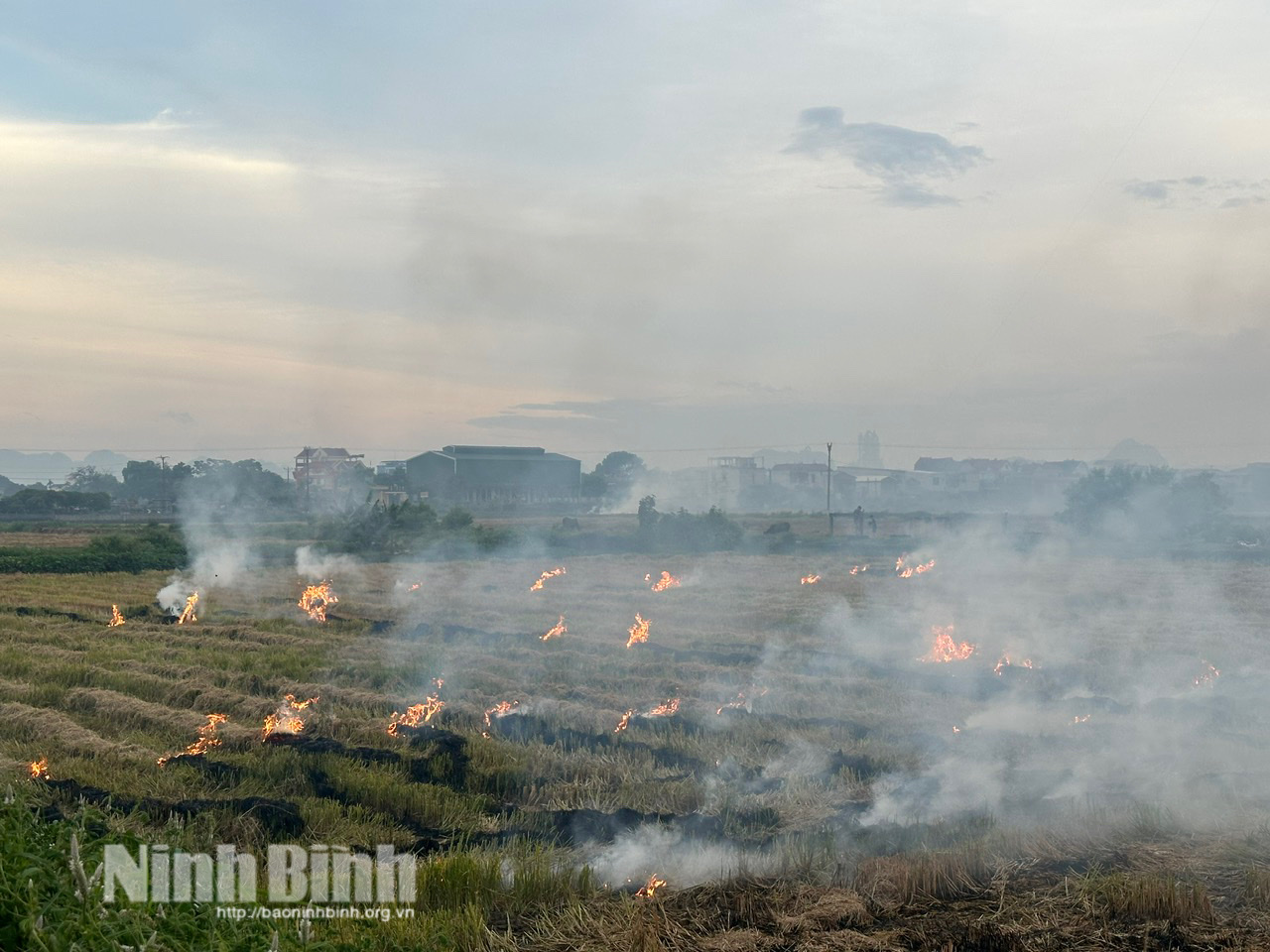 Hoạt động đốt rơm rạ sau vụ gặt tại nhiều địa phương vừa gây lãng phí tài nguyên, vừa tạo ra lượng khói bụi lớn làm ô nhiễm môi trường và cản trở giao thông.
