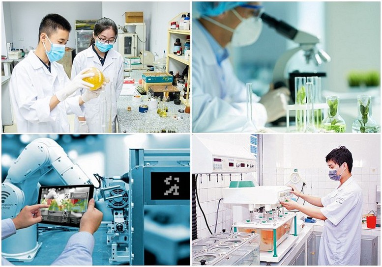 Doanh nghiệp khoa học và công nghệ sẽ được hưởng nhiều chính sách ưu đãi, hỗ trợ. Ảnh: baochinhphu.vn