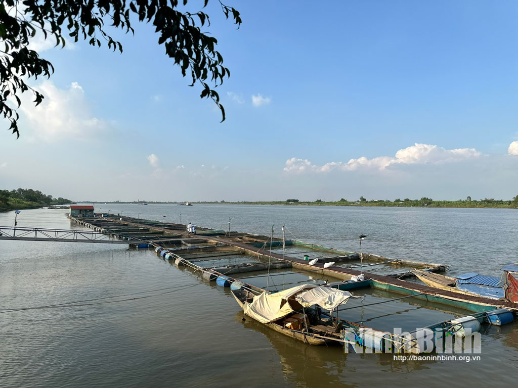 The province expects to raise aquaculture production value to over 51 trillion VND in 2026-2030.