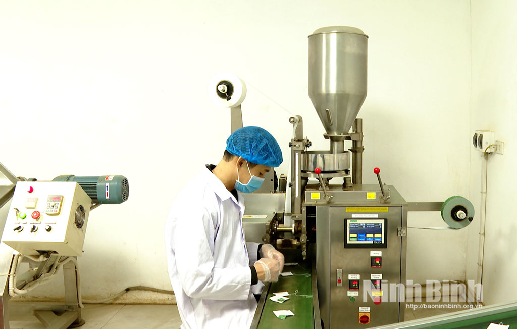 HTX nông nghiệp đầu tư máy móc, trang thiết bị hiện đại vào quy trình sản xuất.