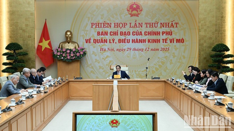 An overview of the meeting.