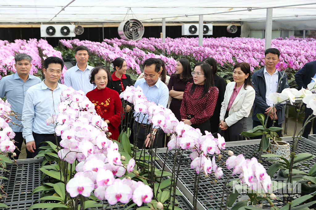 Vice Chairman of the Ninh Binh Provincial People's Committee Tran Anh Dung visited agricultual model at the Phu Van High-Tech Agriculture Joint Stock Company.
