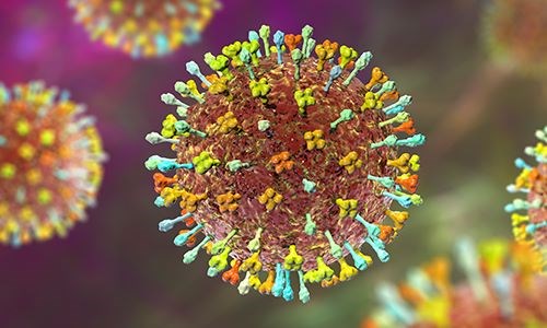 Nipah là một loại virus RNA thuộc họ Paramyxoviridae, gây bệnh truyền nhiễm từ động vật sang người, chủ yếu lây từ lợn và dơi bị nhiễm bệnh, có thể lây qua tiếp xúc gần giữa người với người.