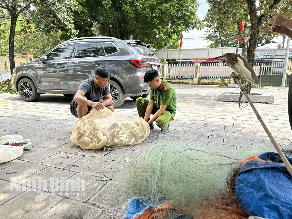 Công an phường Nam Hoa Lư xử lý một trường hợp người dân bẫy bắt chim hoang dã.