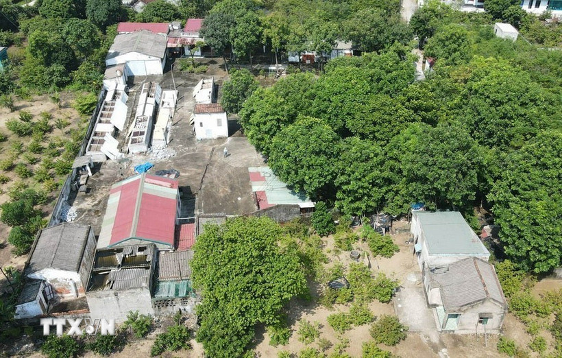 (Ảnh: TTXVN phát)