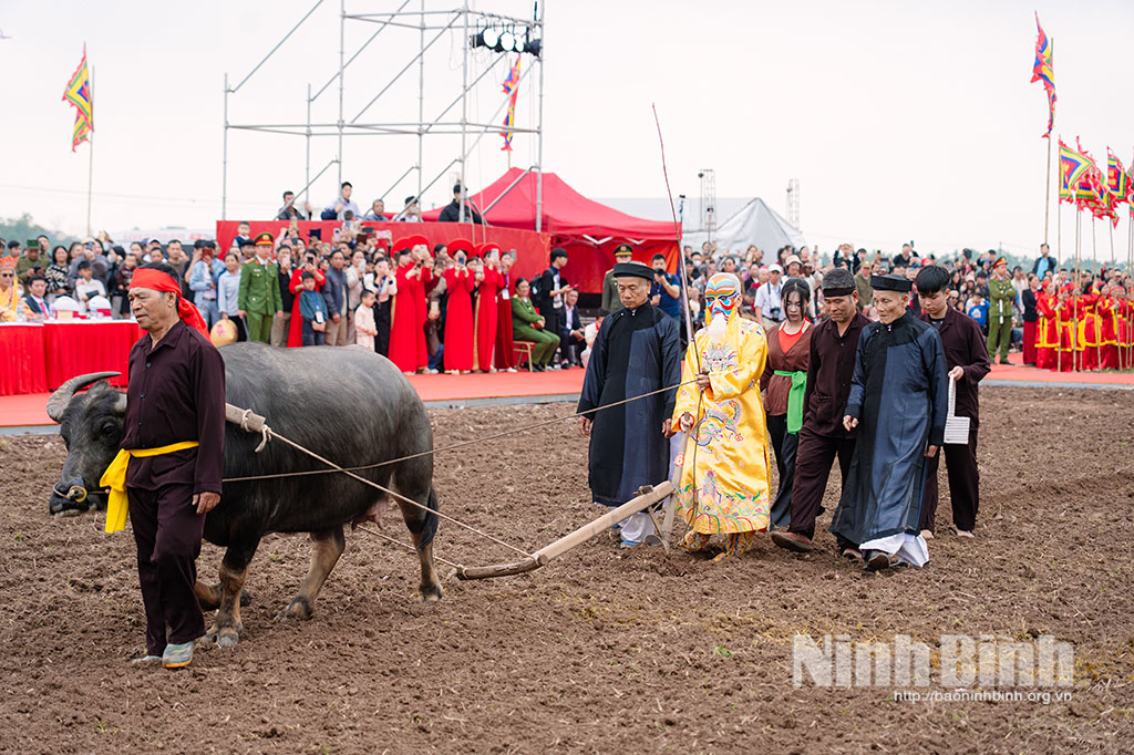 The festival reinacts the image of King Le Dai Hanh going down to the fields with the hope of a favourable year of wind and rain with a bountiful harvest.