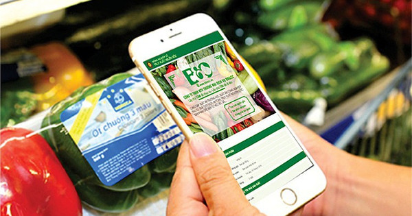 Ảnh: baochinhphu.vn