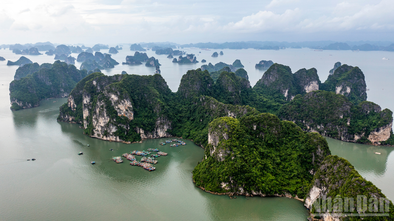 The Condé Nast Traveler assessed that Ha Long Bay is favoured by visitors for its emerald waters and its long stretch of limestone islands. (Photo: THANH DAT)