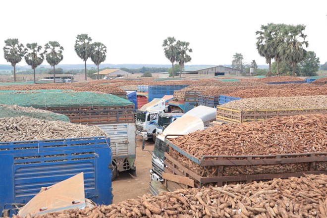 Thường trực Chính phủ kết luận về xử lý các vướng mắc, bất cập của Nghị định số 46 về an toàn thực phẩm. Trong ảnh, khu vực cửa khẩu biên giới tỉnh Tây Ninh hồi cuối tháng 1.2026. Ảnh: Minh Dương