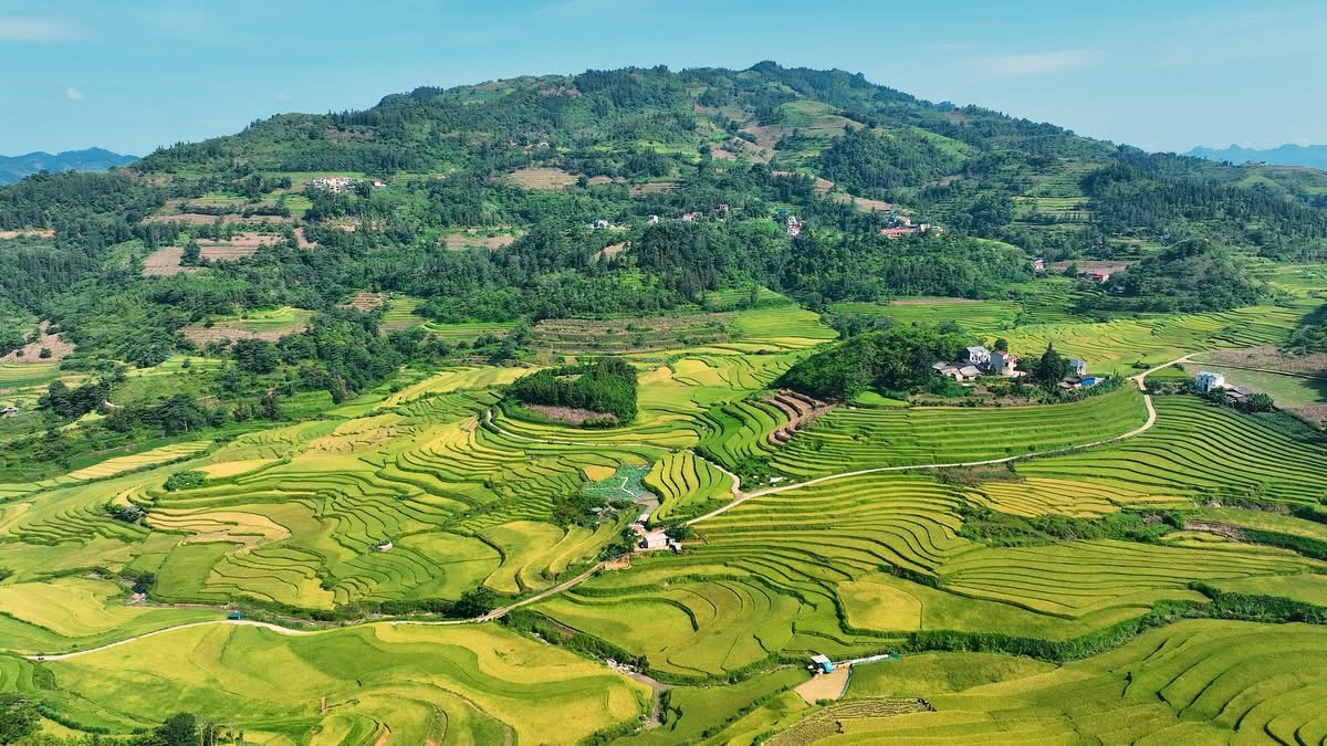 Danh sách các tỉnh, thành đạt tiêu chí vùng dân tộc thiểu số và miền núi là căn cứ quan trọng để triển khai chính sách phát triển kinh tế - xã hội và ưu tiên nguồn lực trong thời gian tới.