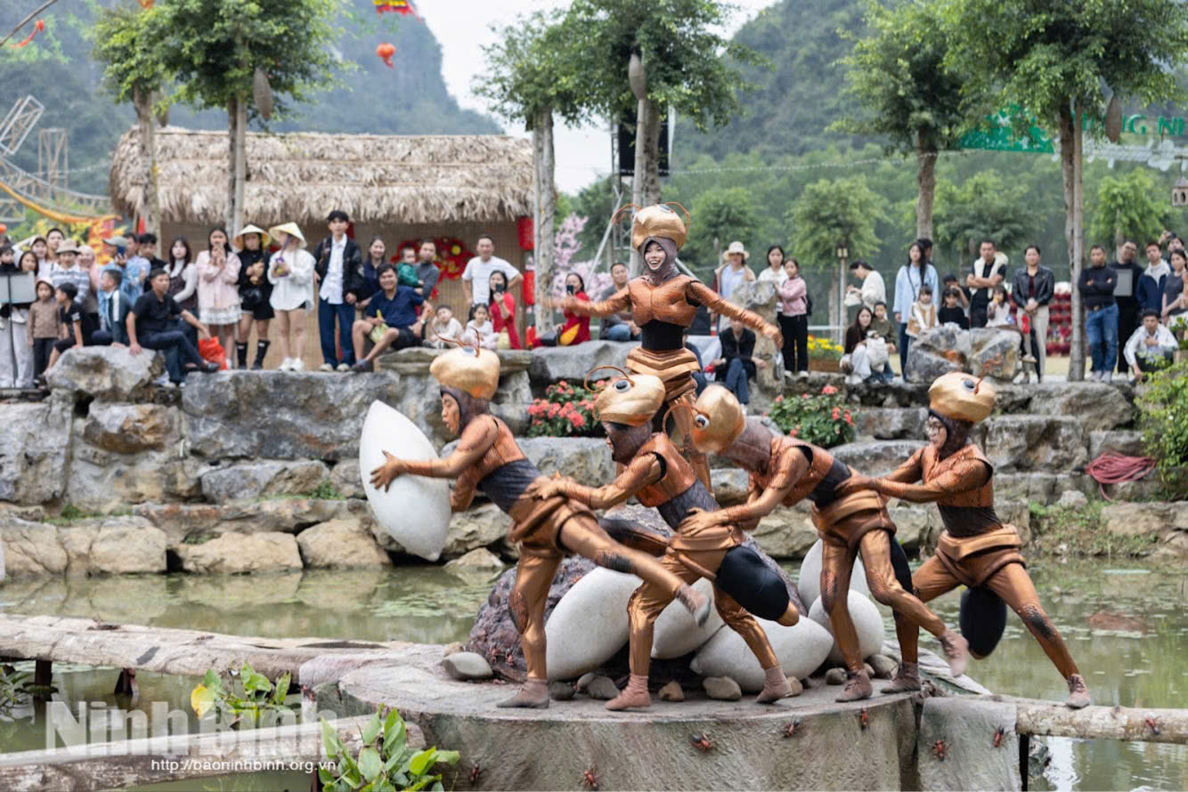 "Cricket" is the first stop of the show in Thung Nham Ecological site.