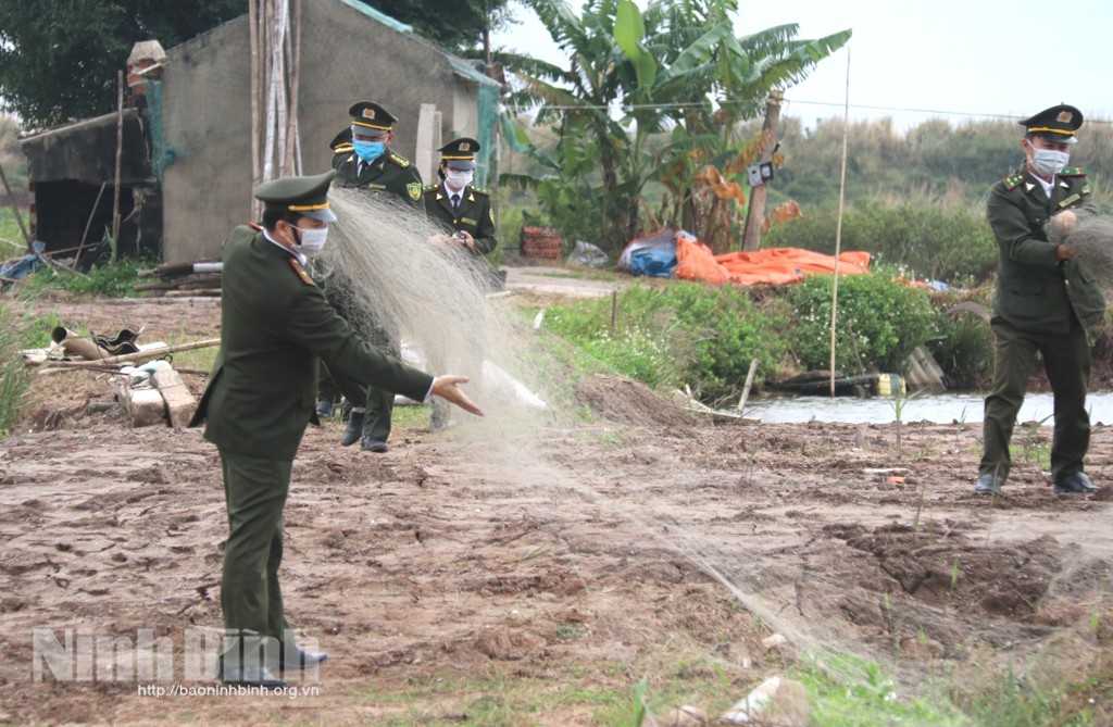Competent agencies handle illegal poaching of wild birds in Kim Son commune.