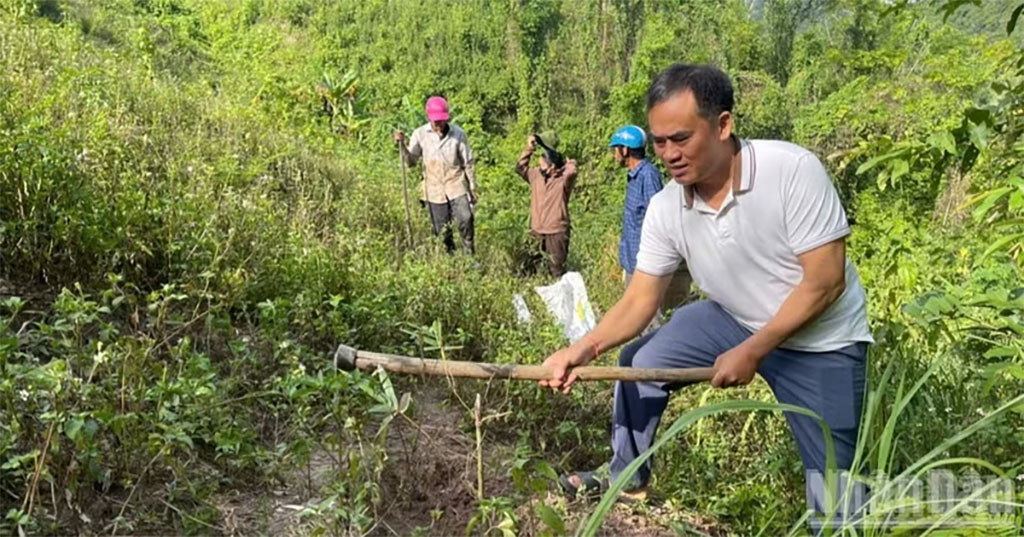 Tree planting in Khoi Village, Tam Thai Commune, Nghe An Province. (Photo: VAN THANH)