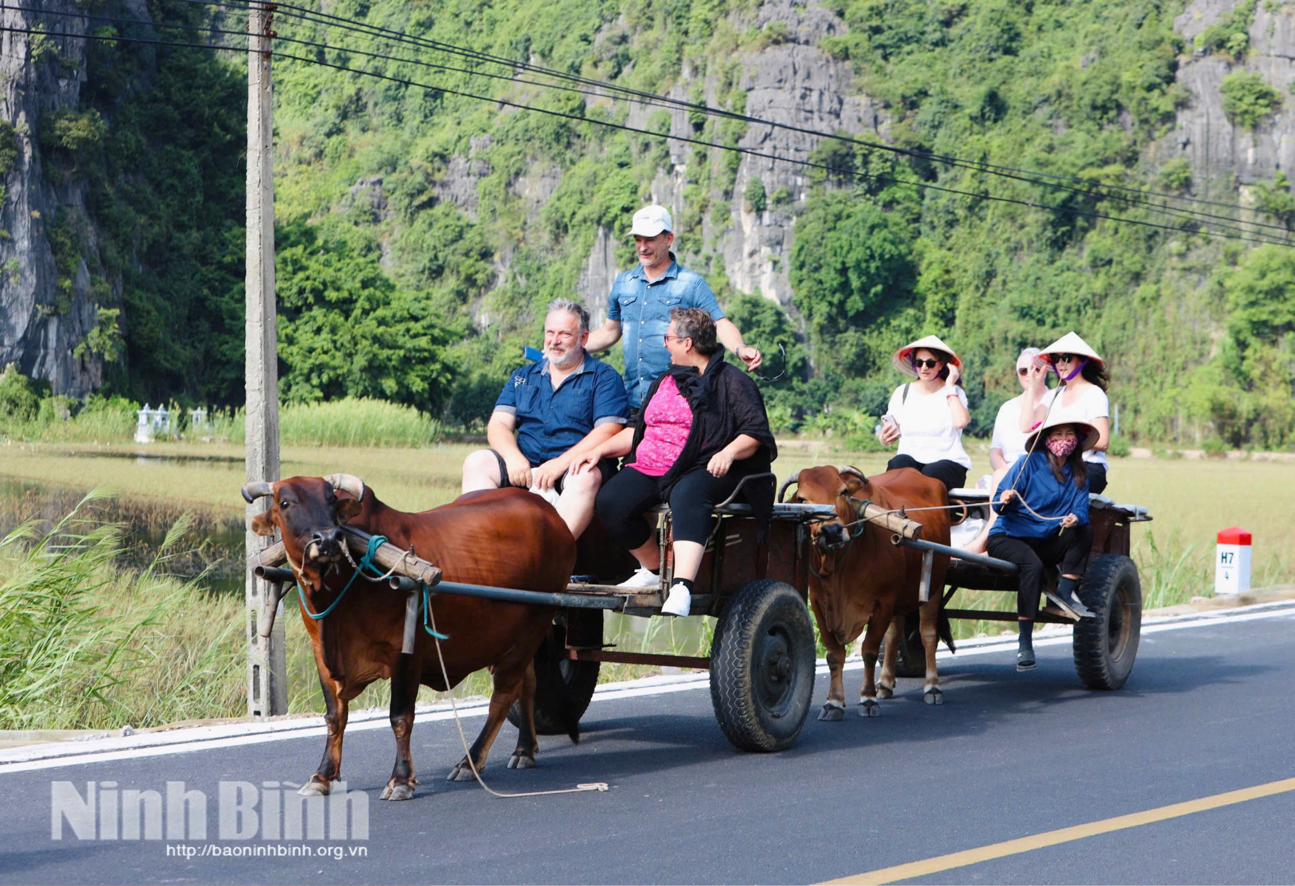 Foreign visitors exploring rural tourism in Nam Hoa Lu ward.