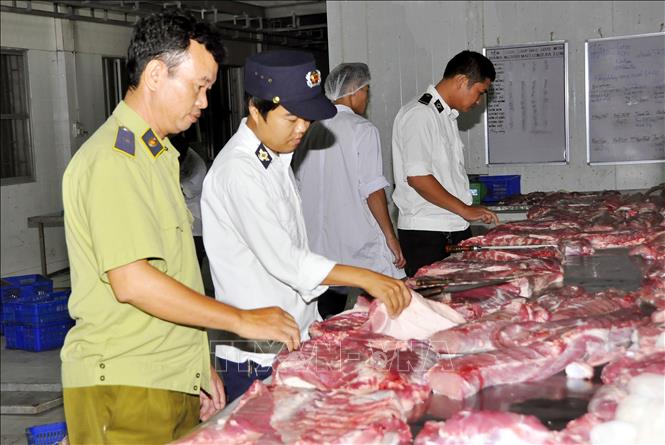 Lực lượng chức năng Hà Nội kiểm tra thịt lợn lưu thông ngoài thị trường. Ảnh tư liệu (minh họa): TTXVN